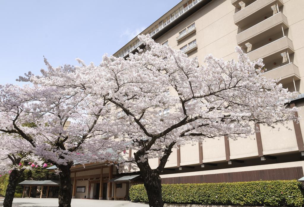 Suimeikan Gero Esterno foto Sakura trees in full bloom