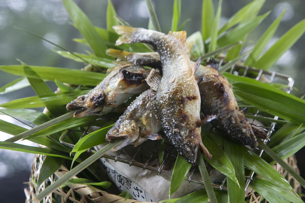 Suimeikan Gero Esterno foto A pair of the frogs